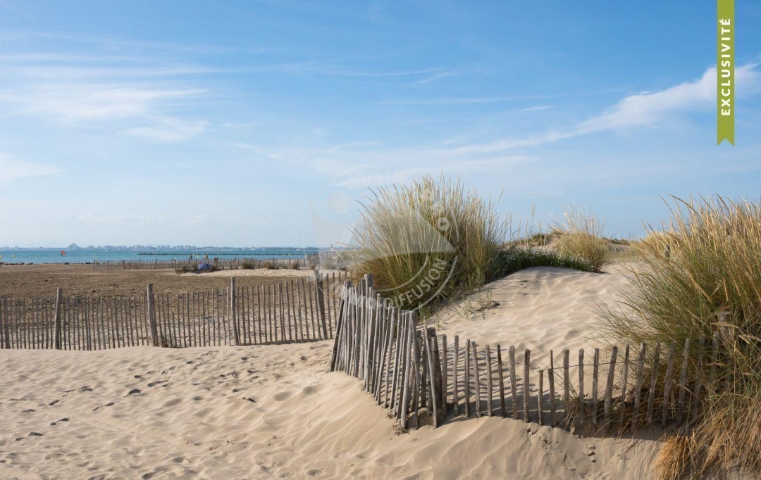 API AGENCE : Autres | LE GRAU-DU-ROI (30240) | 46 m2 | 411 000 € 