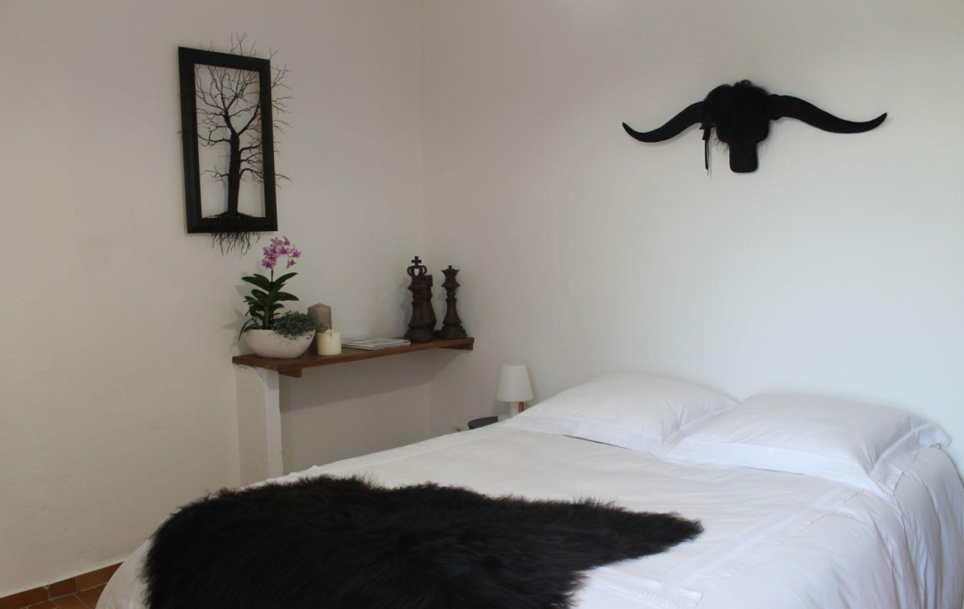 API AGENCE : Domaines / Propriétés | BOISSET-ET-GAUJAC (30140) | 180 m2 | 550 000 € 