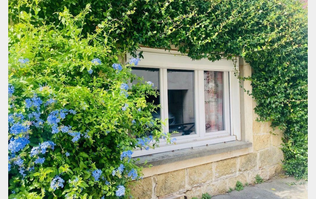 API AGENCE : Appartement | AIGUES-MORTES (30220) | 52 m2 | 282 000 € 