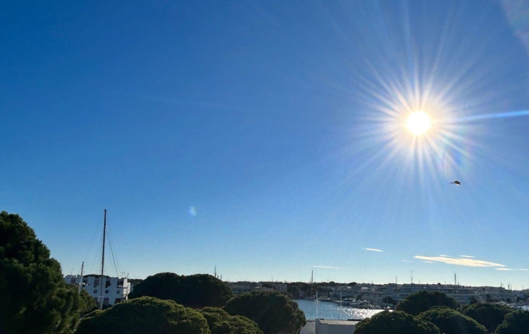 API AGENCE : Apartment | PORT-CAMARGUE (30240) | 26 m2 | 225 320 € 