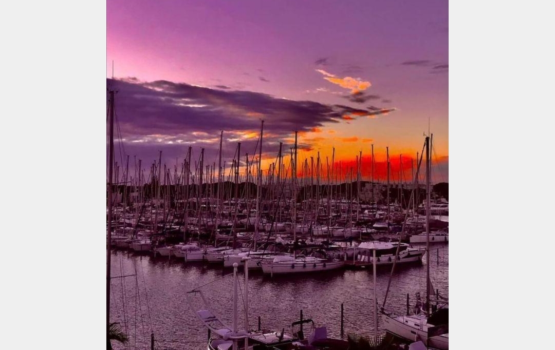 API AGENCE : Apartment | PORT-CAMARGUE (30240) | 26 m2 | 225 320 € 