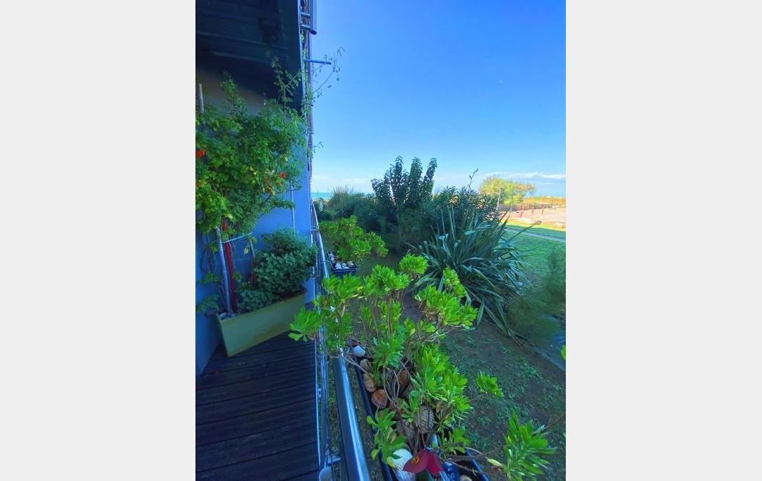 API AGENCE : Apartment | LE GRAU-DU-ROI (30240) | 31 m2 | 217 000 € 