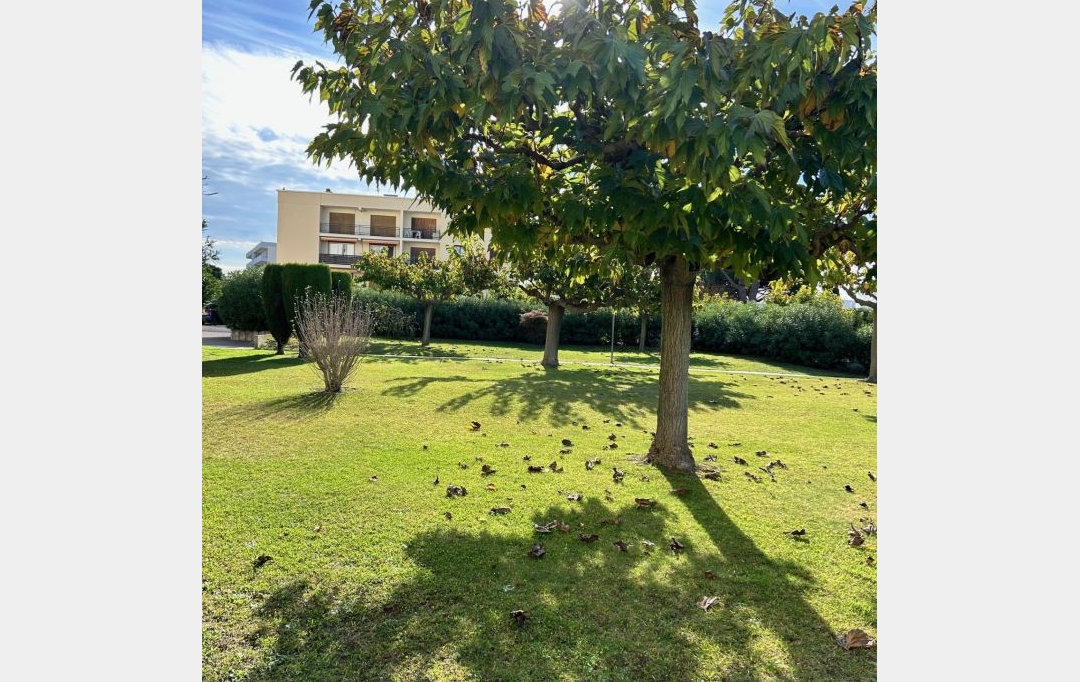 API AGENCE : Appartement | LE GRAU-DU-ROI (30240) | 27 m2 | 169 900 € 