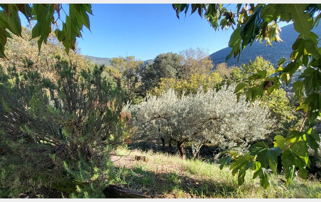 API AGENCE : House | SAINT-JEAN-DU-GARD (30270) | 110 m2 | 393 000 € 