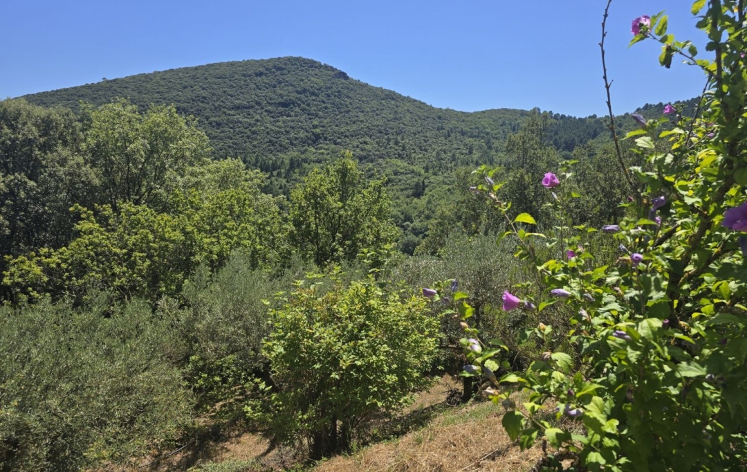 API AGENCE : Maison / Villa | SAINT-JEAN-DU-GARD (30270) | 110 m2 | 393 000 € 