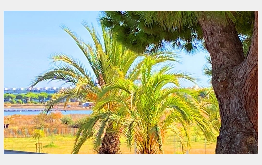 API AGENCE : Appartement | LE GRAU-DU-ROI (30240) | 37 m2 | 159 750 € 
