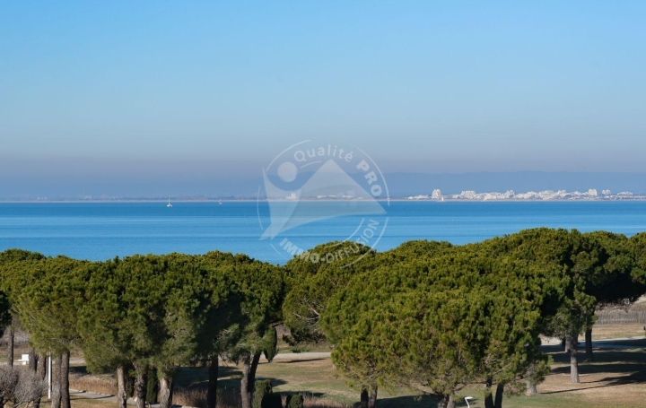 Appartement P2 LE GRAU-DU-ROI 33 m2 374 € Appartement P2 LE GRAU-DU-ROI 33 m2 374 €