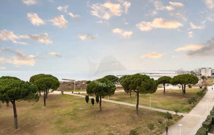  API AGENCE Apartment | LE GRAU-DU-ROI (30240) | 70 m2 | 613 € 