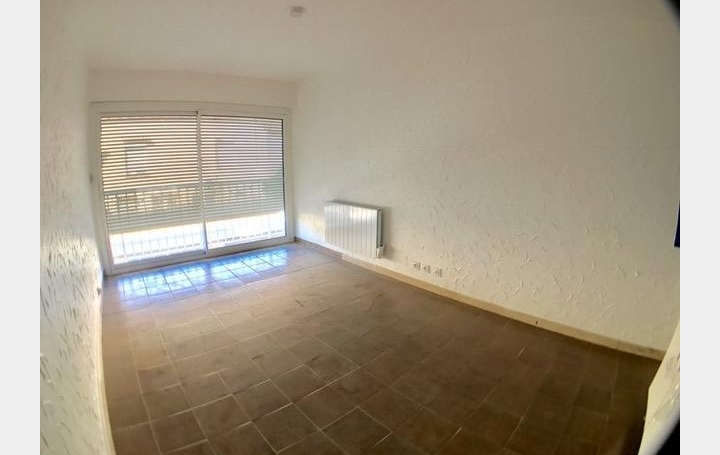 API AGENCE : Appartement | LE GRAU-DU-ROI (30240) | 22 m2 | 350 € 