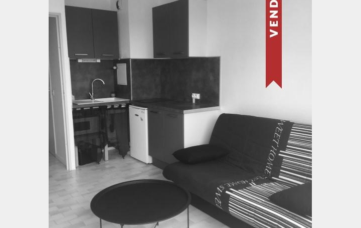 API AGENCE : Appartement | LE GRAU-DU-ROI (30240) | 18 m2 | 440 € 