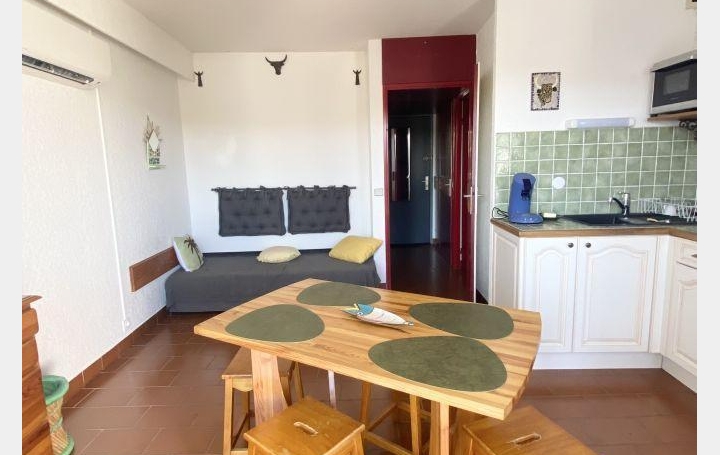 Studio LE GRAU-DU-ROI 24 m2 550 € Studio LE GRAU-DU-ROI 24 m2 550 €