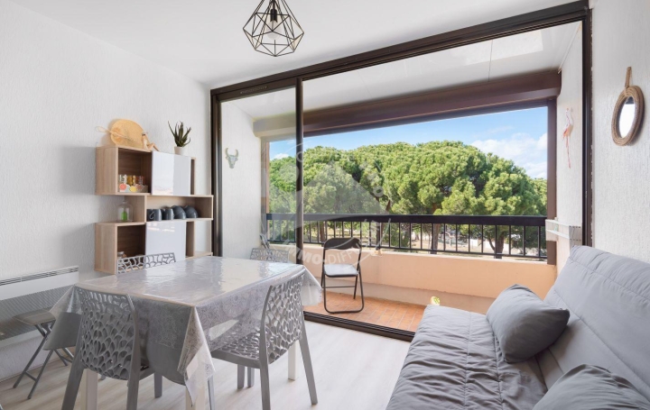  API AGENCE Apartment | LE GRAU-DU-ROI (30240) | 35 m2 | 300 € 