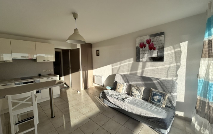  API AGENCE Appartement | LE GRAU-DU-ROI (30240) | 30 m2 | 700 € 