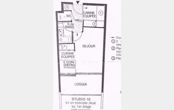 API AGENCE : Appartement | LE GRAU-DU-ROI (30240) | 26 m2 | 270 € 
