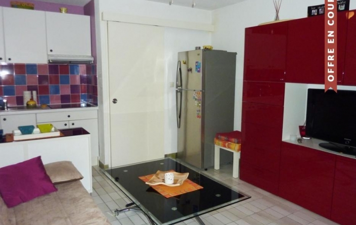 API AGENCE : Appartement | LE GRAU-DU-ROI (30240) | 31 m2 | 152 000 € 