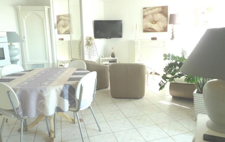 API AGENCE : Appartement | LE GRAU-DU-ROI (30240) | 46 m2 | 230 000 € 