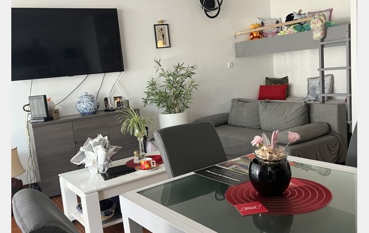  API AGENCE Appartement | LE GRAU-DU-ROI (30240) | 36 m2 | 263 250 € 