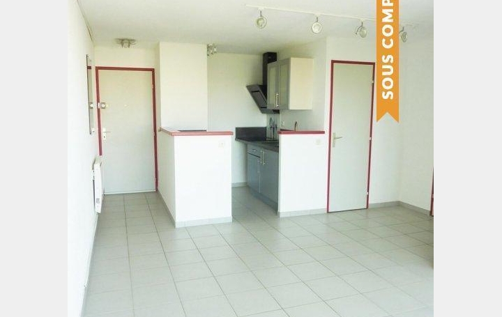 API AGENCE : Appartement | LE GRAU-DU-ROI (30240) | 30 m2 | 132 500 € 
