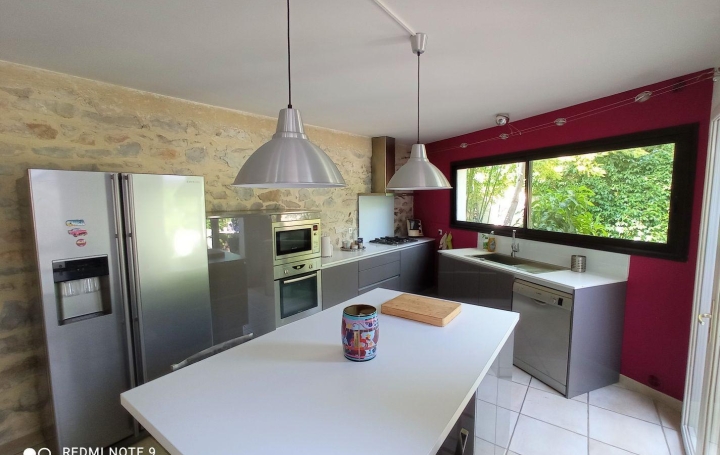 API AGENCE : Maison / Villa | SAINT-LAURENT-D'AIGOUZE (30220) | 160 m2 | 459 000 € 