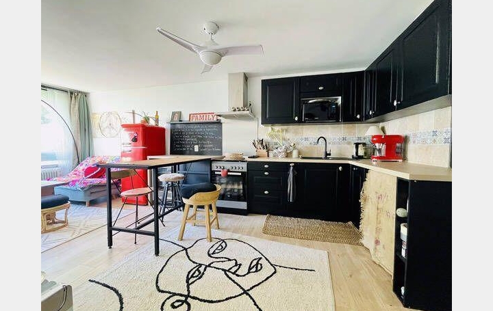  API AGENCE Appartement | LE GRAU-DU-ROI (30240) | 41 m2 | 219 000 € 