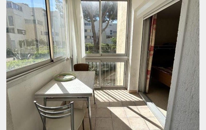  API AGENCE Appartement | LE GRAU-DU-ROI (30240) | 32 m2 | 159 000 € 