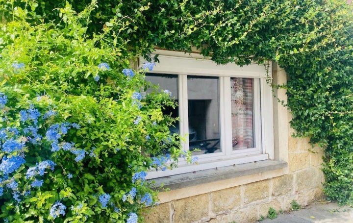  API AGENCE Appartement | AIGUES-MORTES (30220) | 60 m2 | 292 000 € 