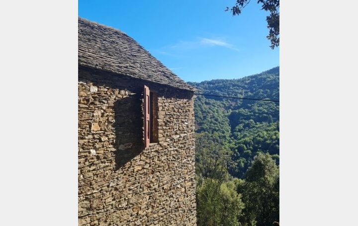  API AGENCE Maison / Villa | SAINT-MARTIN-DE-LANSUSCLE (48110) | 89 m2 | 149 000 € 