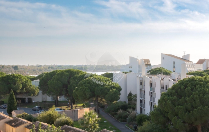  API AGENCE Appartement | LE GRAU-DU-ROI (30240) | 28 m2 | 188 000 € 