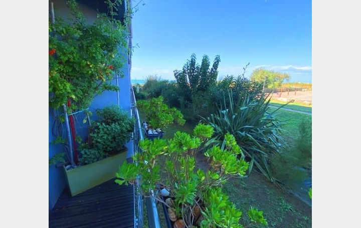  API AGENCE Appartement | LE GRAU-DU-ROI (30240) | 31 m2 | 217 000 € 