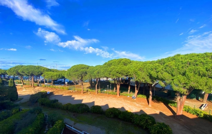  API AGENCE Apartment | LE GRAU-DU-ROI (30240) | 19 m2 | 126 000 € 