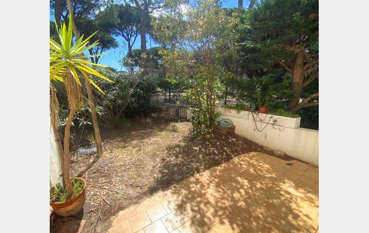  API AGENCE Apartment | LA GRANDE-MOTTE (34280) | 29 m2 | 122 475 € 
