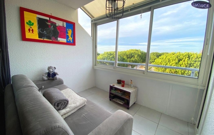  API AGENCE Appartement | PORT-CAMARGUE (30240) | 34 m2 | 200 000 € 