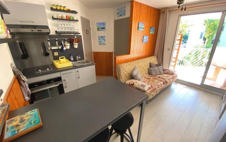  API AGENCE Appartement | LE GRAU-DU-ROI (30240) | 29 m2 | 186 375 € 